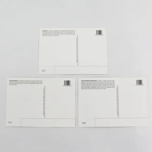 Lot Of 3 Vintage Montana Postcards Map Bitterroot Flower Four Seasons