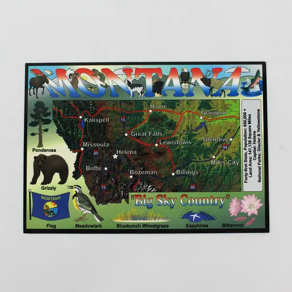 Lot Of 3 Vintage Montana Postcards Map Bitterroot Flower Four Seasons