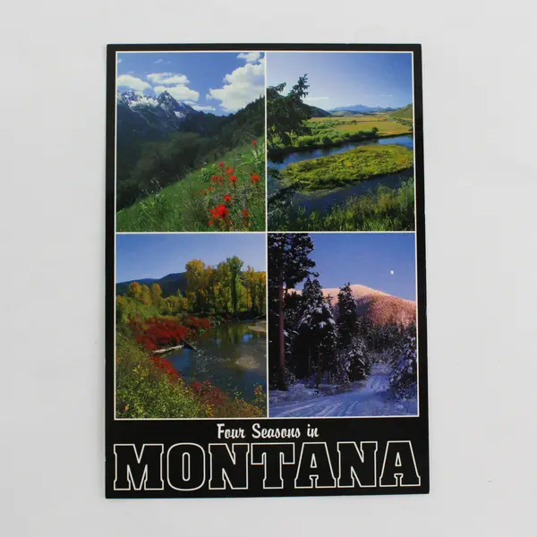 Lot Of 3 Vintage Montana Postcards Map Bitterroot Flower Four Seasons
