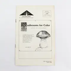 Vintage Mad River Press Summer 1980 Publication Catalog Eureka California 