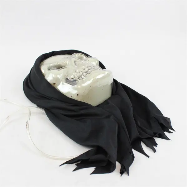 Halloween Dripping Bleeding Blood Skeleton Face Mask Heart Pump