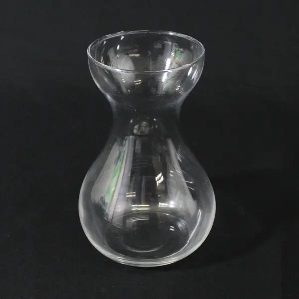 Clear Glass Hyacinth Forcing Vase Bulb Planter Tabletop 6in