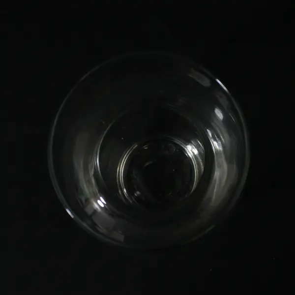 Clear Glass Bubble Vase Round 7in Modern Minimalist Home Decor