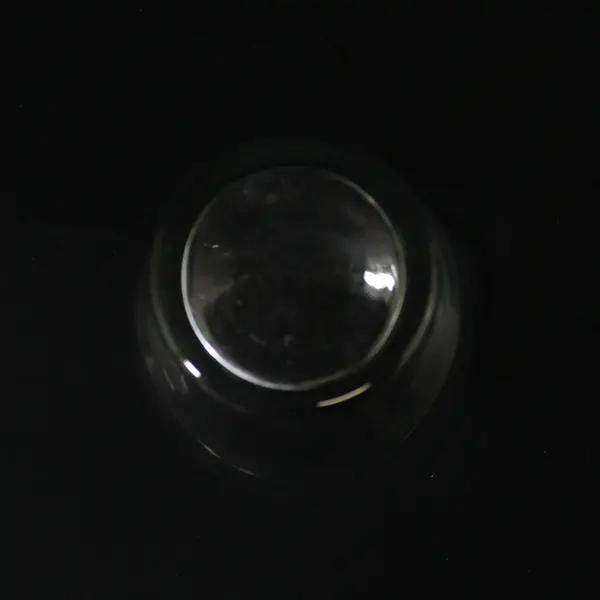 Clear Glass Bubble Vase Round 7in Modern Minimalist Home Decor