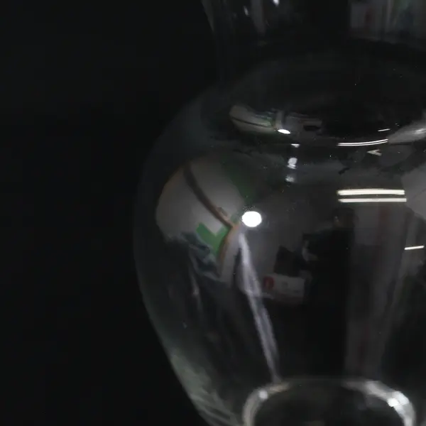 Clear Glass Bubble Vase Round 7in Modern Minimalist Home Decor