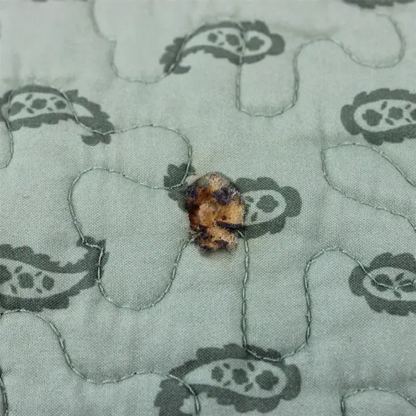 Set of 6 Multicolor Paisley Pattern Quilted Placemats 13" x 18"