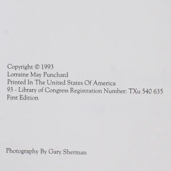 VTG Playtime Kitchen Items & Table Accessories  Lorraine Punchard 1993 PB 1st Ed