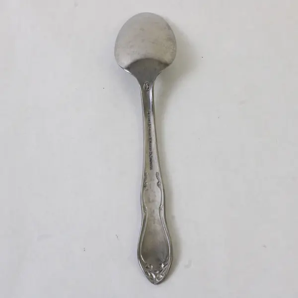 Set of 6 Oneida Homestead Stainless Teaspoons