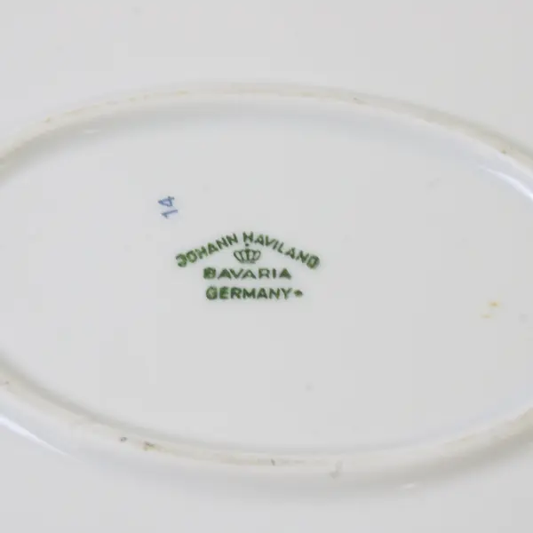 Johann Haviland Forever Spring Pattern Ceramic 13" Long Oval Serving Platter