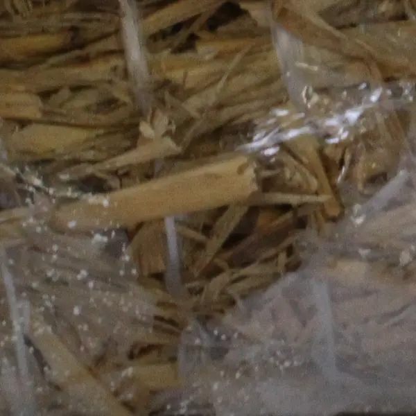 Lot of 2 Straw Wreaths Seasonal Autumn Craft Decor 14" & 19"