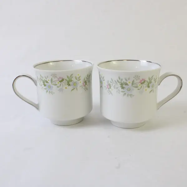 Lot Of 2 Johann Haviland Forever Spring Pattern Silver Trim Footed Cup 3.25"
