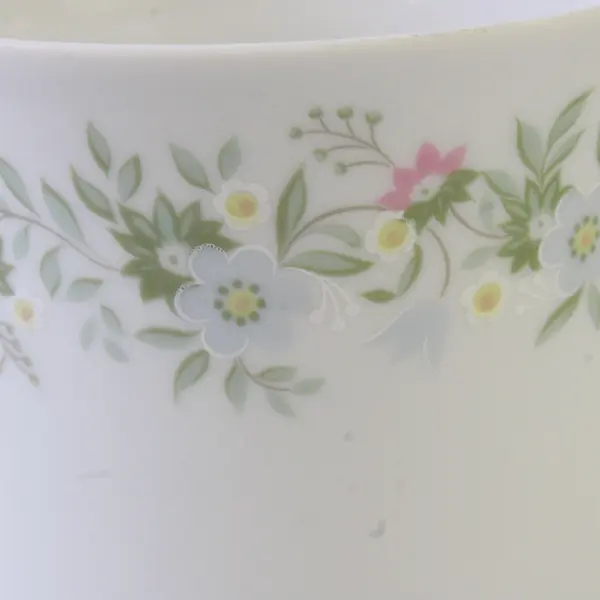 Lot Of 2 Johann Haviland Forever Spring Pattern Silver Trim Footed Cup 3.25"