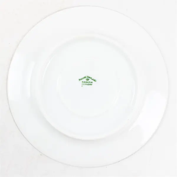 Lot Of 4 Johann Haviland Forever Spring Pattern Silver Trim Saucers 6.25"