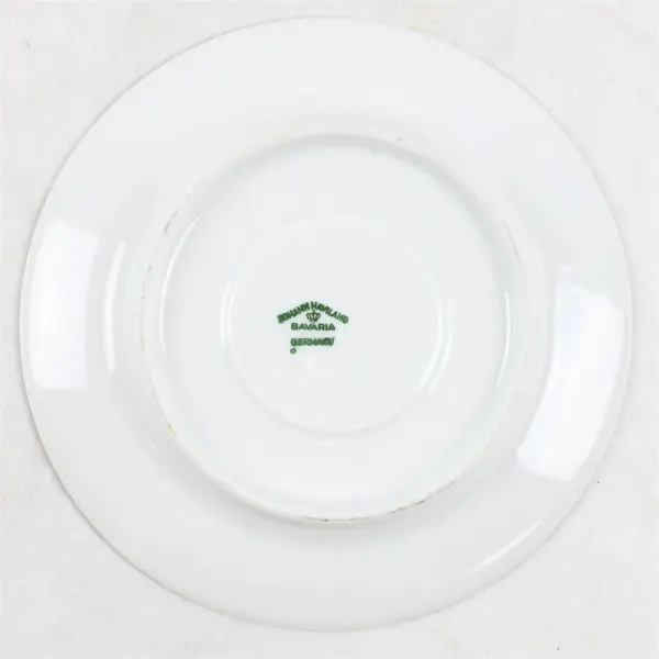 Lot Of 10 Johann Haviland Forever Spring Pattern Silver Trim Saucers 6.25"