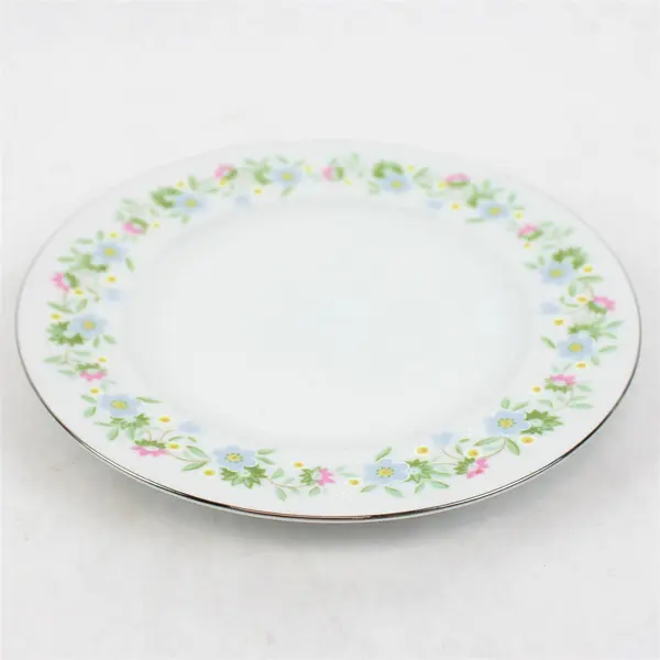 Lot Of 10 Johann Haviland Forever Spring Pattern Silver Trim Bread/ Butter 6.25"