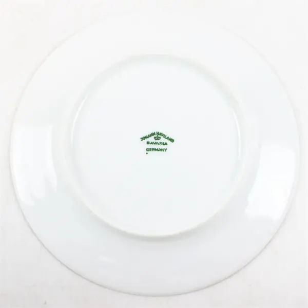 Lot Of 10 Johann Haviland Forever Spring Pattern Silver Trim Bread/ Butter 6.25"