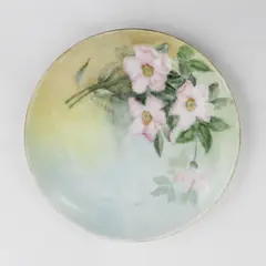Haviland Hand Painted Wild Roses Plate Signed 6"