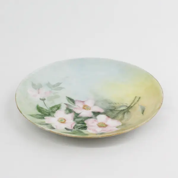 Haviland Hand Painted Wild Roses Plate Signed 6"