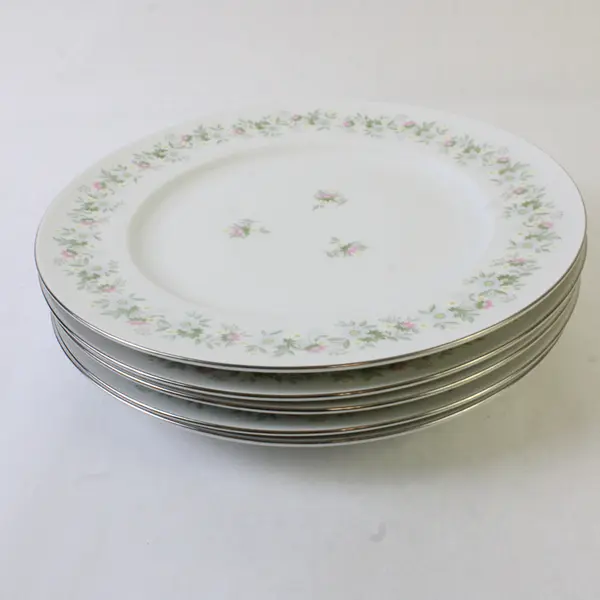 Lot Of 5 Johann Haviland Forever Spring Pattern Dinner Plates 10.25" Diameter