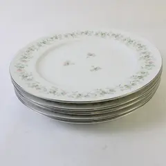Lot Of 5 Johann Haviland Forever Spring Pattern Dinner Plates 10.25" Diameter