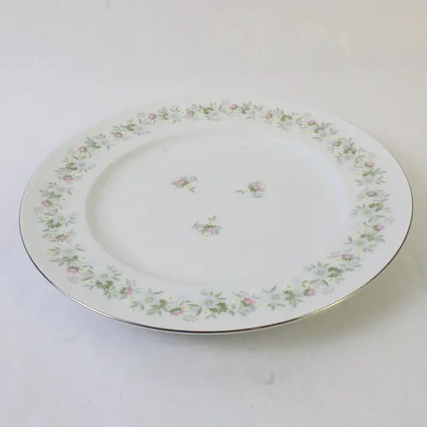 Lot Of 5 Johann Haviland Forever Spring Pattern Dinner Plates 10.25" Diameter