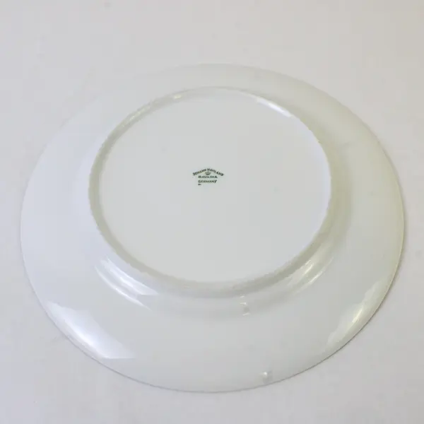 Lot Of 5 Johann Haviland Forever Spring Pattern Dinner Plates 10.25" Diameter