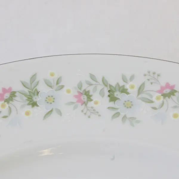 Lot Of 5 Johann Haviland Forever Spring Pattern Dinner Plates 10.25" Diameter