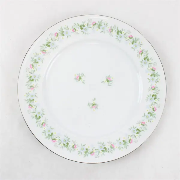 Lot Of 4 Johann Haviland Forever Spring Pattern Dinner Plates 10.25" Diameter