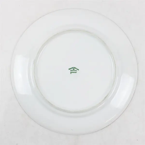 Lot Of 4 Johann Haviland Forever Spring Pattern Dinner Plates 10.25" Diameter