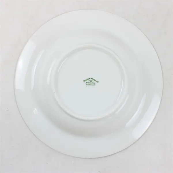 Lot Of 5 Johann Haviland Forever Spring Pattern Rim Soup Bowls 8.5" Diameter