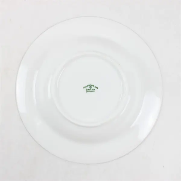 Lot Of 4 Johann Haviland Forever Spring Pattern Rim Soup Bowls 8.5" Diameter