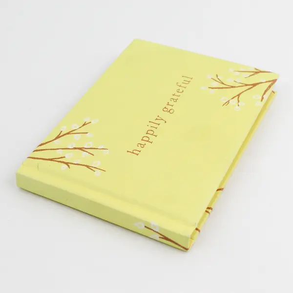 Happily Grateful by Dan Zadra 2010, Hardcover