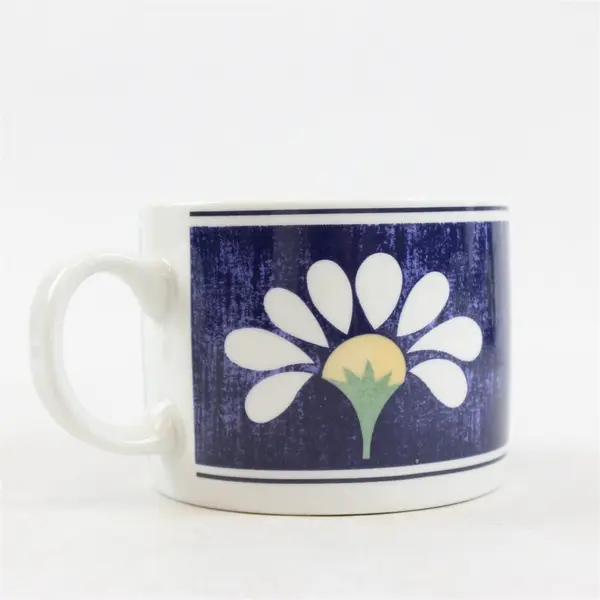 Lot of 3 Oneida Spring Daisy Salad Plate & 2 Coffee Mugs