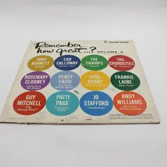 Remember How Great...? Volume 2 12" Vinyl Record