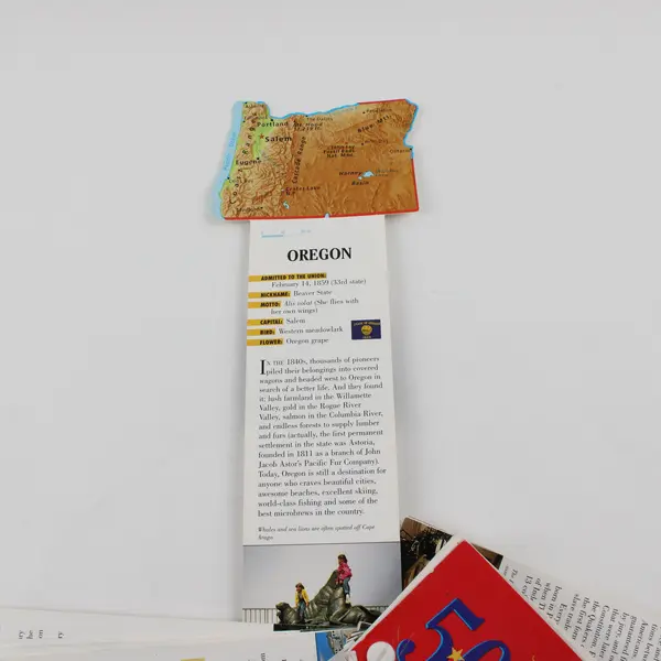 Fandex Family Field Guides: 50 States Paperback 