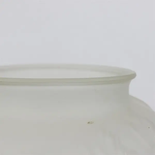 Tiffin Glass Co Phoenix Consolidated Frosted Glass Vase Floral Poppy 8.75" Tall