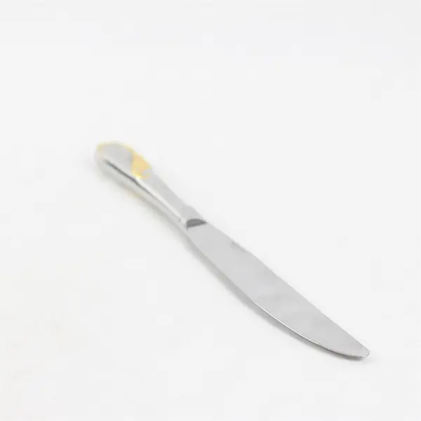 Yamazaki Hilary Gold Accent Stainless Steel Silverware Dining Knife