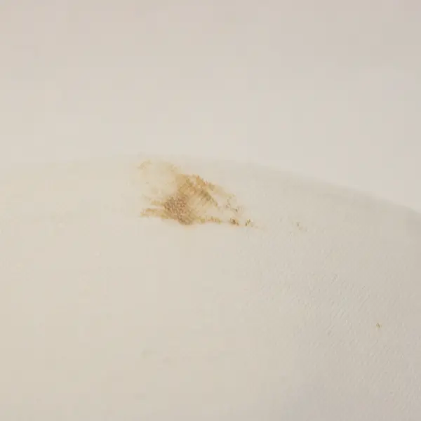 Set of 2 Vintage Blue Floral Embroidered Cutwork Off-White Tea Towels FLAWED