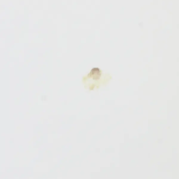 Our Finest Hour The Triumphant Spirit of America's WWII Generation 2000 HC 