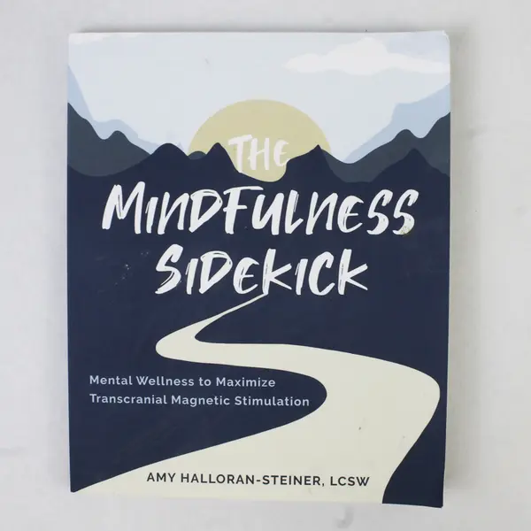 The Mindfulness Sidekick by Amy Halloran-Steiner 2021 Paperback