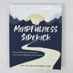 The Mindfulness Sidekick by Amy Halloran-Steiner 2021 Paperback