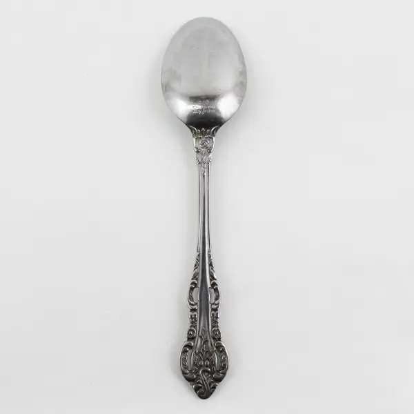 Stanley Roberts Lady Jo Ann Pattern Stainless Oval Soup Spoon 7.5" Long Good