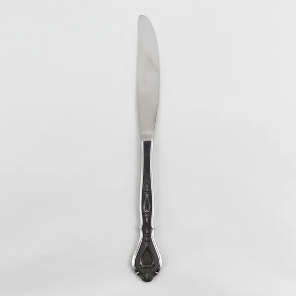 Stanley Roberts (Rogers Co) Autumn Ballad Pattern SS Dinner Knife 9" Rare Piece