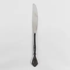 Stanley Roberts (Rogers Co) Autumn Ballad Pattern SS Dinner Knife 9" Rare Piece