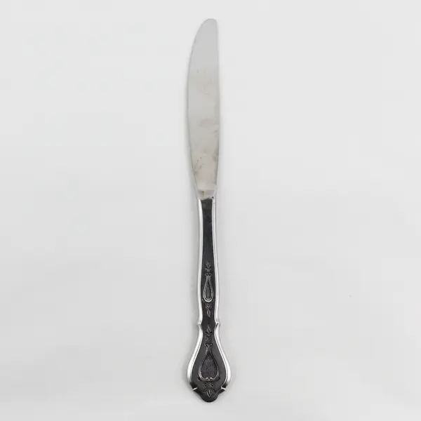 Stanley Roberts (Rogers Co) Autumn Ballad Pattern SS Dinner Knife 9" Rare Piece