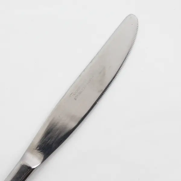 Stanley Roberts (Rogers Co) Autumn Ballad Pattern SS Dinner Knife 9" Rare Piece