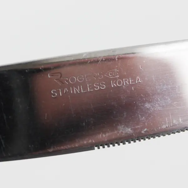 Stanley Roberts (Rogers Co) Autumn Ballad Pattern SS Dinner Knife 9" Rare Piece
