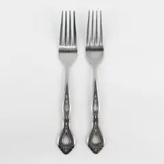 Stanley Roberts Autumn Ballad Pattern SS 2 Dinner Forks 7.5" Long Rare HTF 