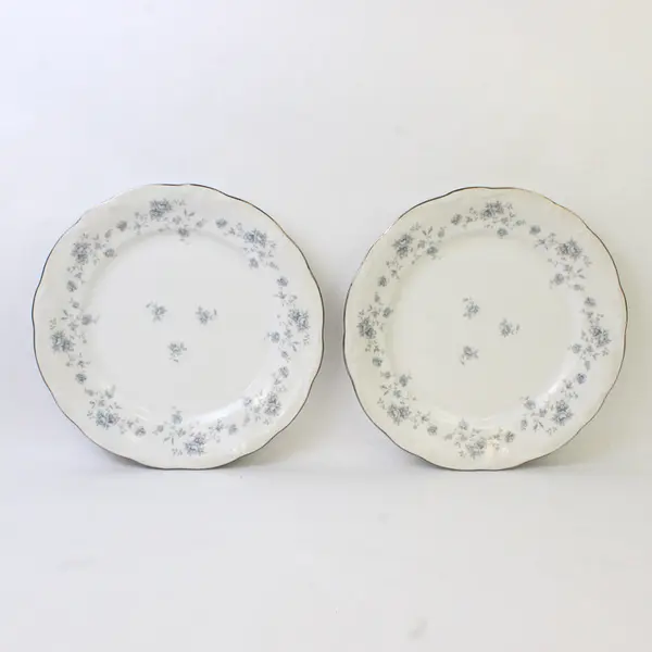 Lot Of 2 Johann Haviland Blue Garland Patterned Silver Trim Dinner Plates 10.25"