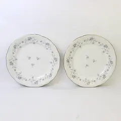 Lot Of 2 Johann Haviland Blue Garland Patterned Silver Trim Dinner Plates 10.25"
